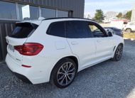 BMW X3 (G01) XDRIVE30IA 252 M SPORT