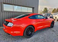 FORD MUSTANG VI FASTBACK 5.0 V8 GT BV6