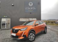 PEUGEOT 2008 II 1.2 PURETECH 100 S&S 5CV ACTIVE BUSINESS