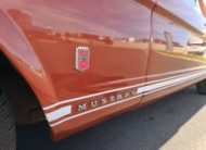 FORD MUSTANG 289 CI 4.7 V8 225CH BVA 1965 GT CODE A