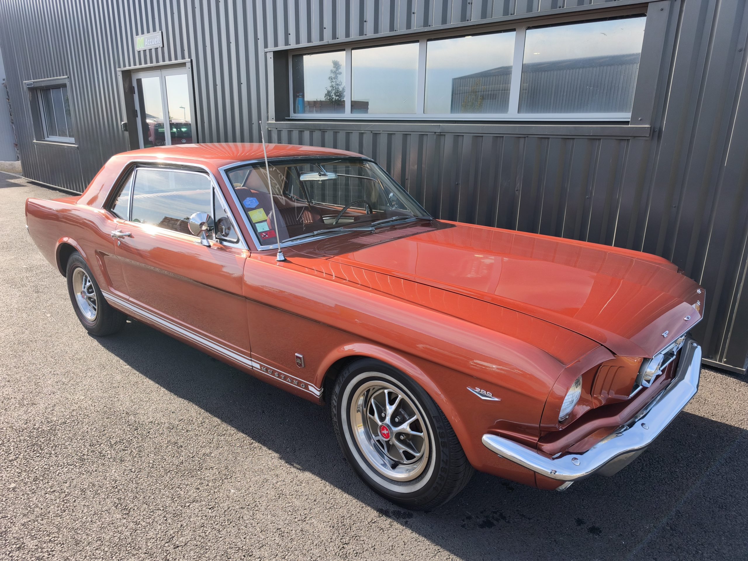 FORD MUSTANG 289 CI 4.7 V8 225CH BVA 1965 GT CODE A